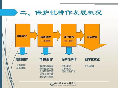 黨建引領(lǐng)謀發(fā)展 科技助農(nóng)備春耕